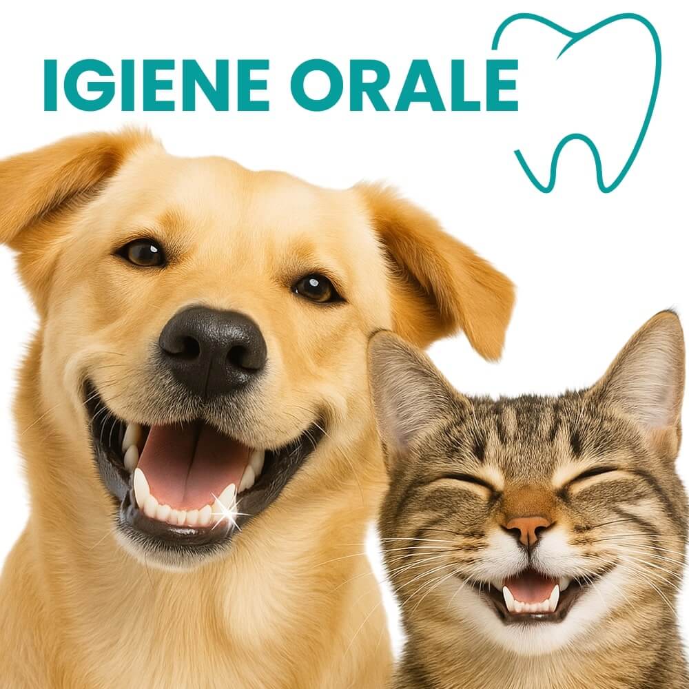 Anteprima categoria Igiene orale